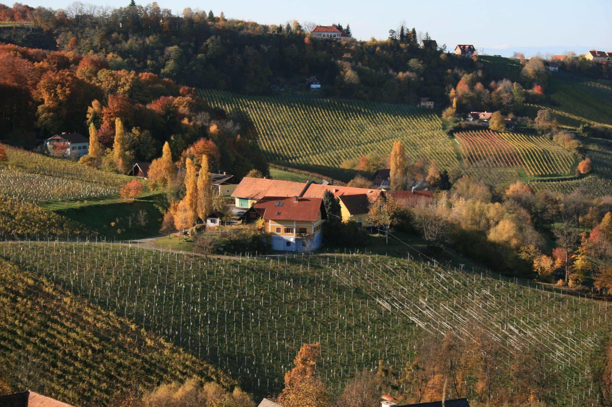 Weingut Primus Suedsteiermark Spielfeld Exterior foto