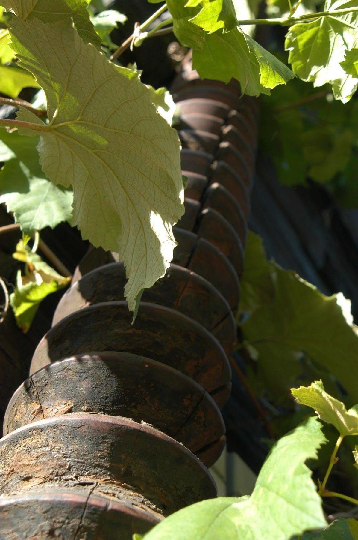 Weingut Primus Suedsteiermark Spielfeld Exterior foto