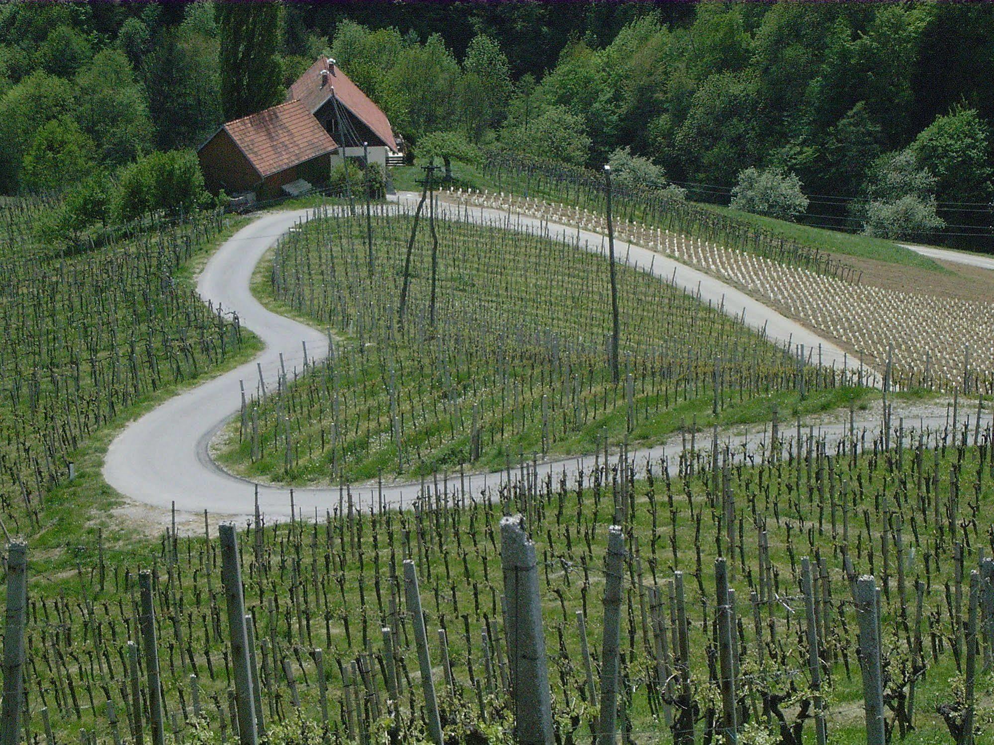 Weingut Primus Suedsteiermark Spielfeld Exterior foto