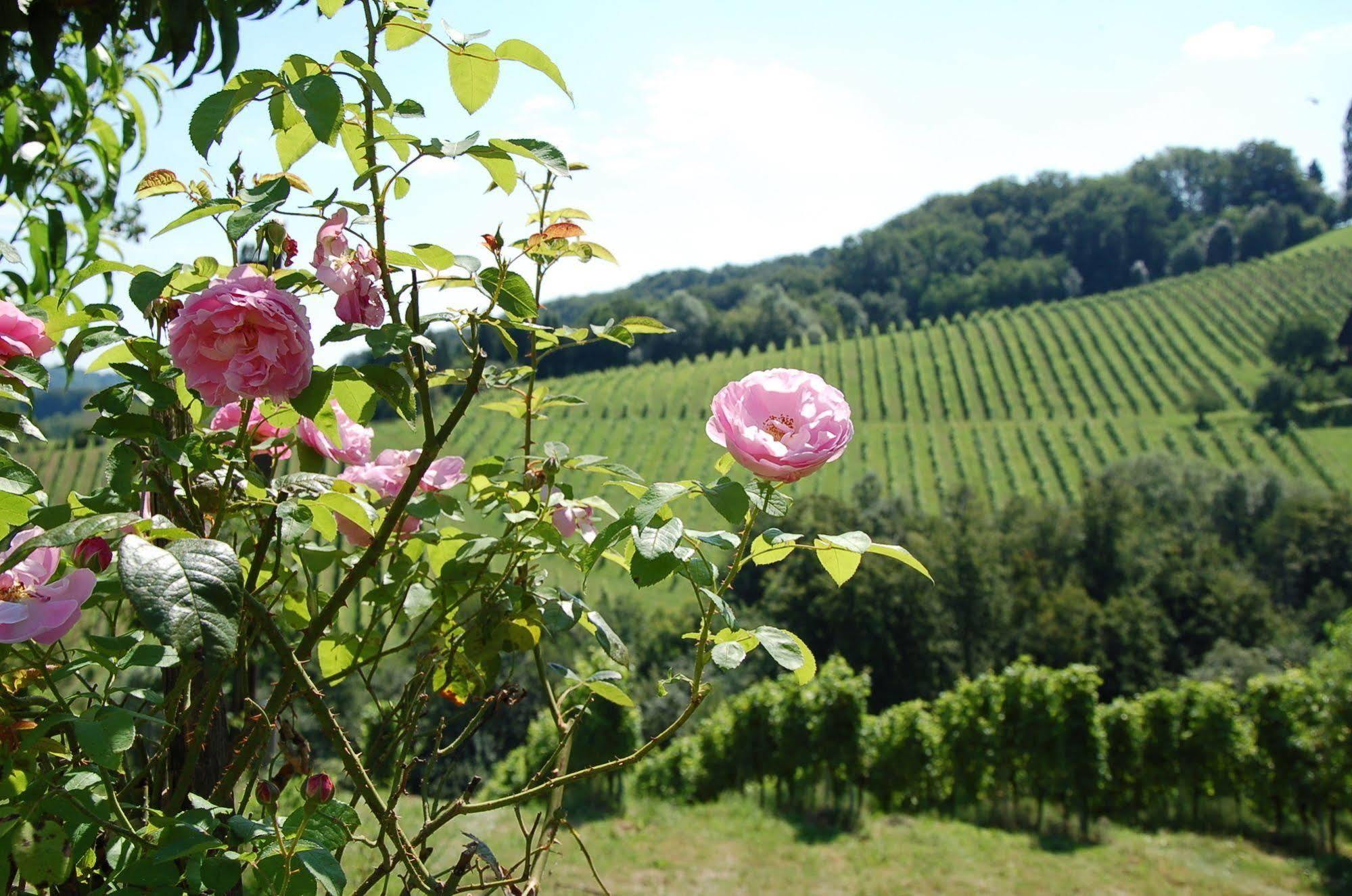 Weingut Primus Suedsteiermark Spielfeld Exterior foto
